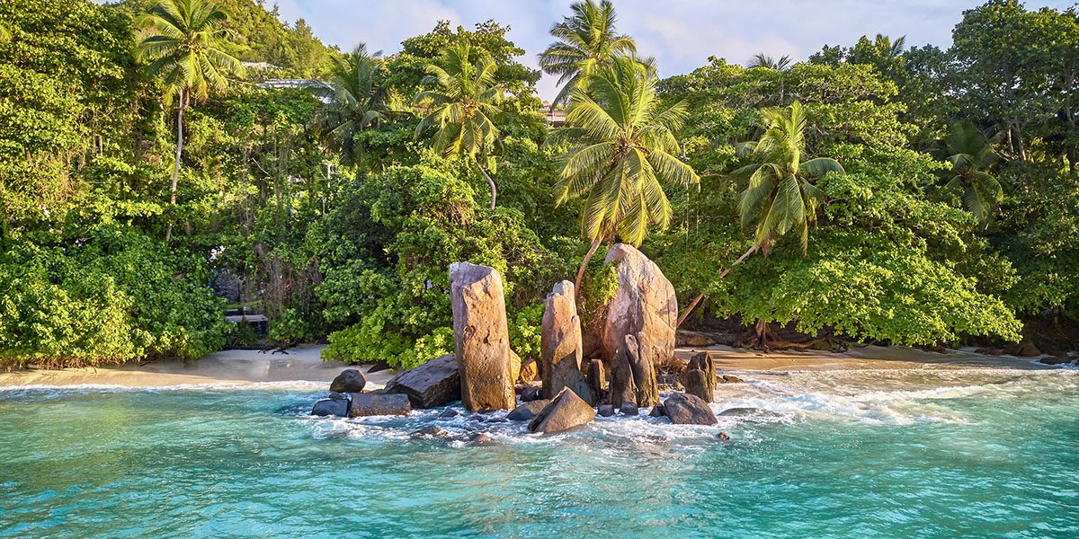 Google Business Profile - Performance Tracking - Thrive - Palm Island Creative - Thrive - Palm Island Creative