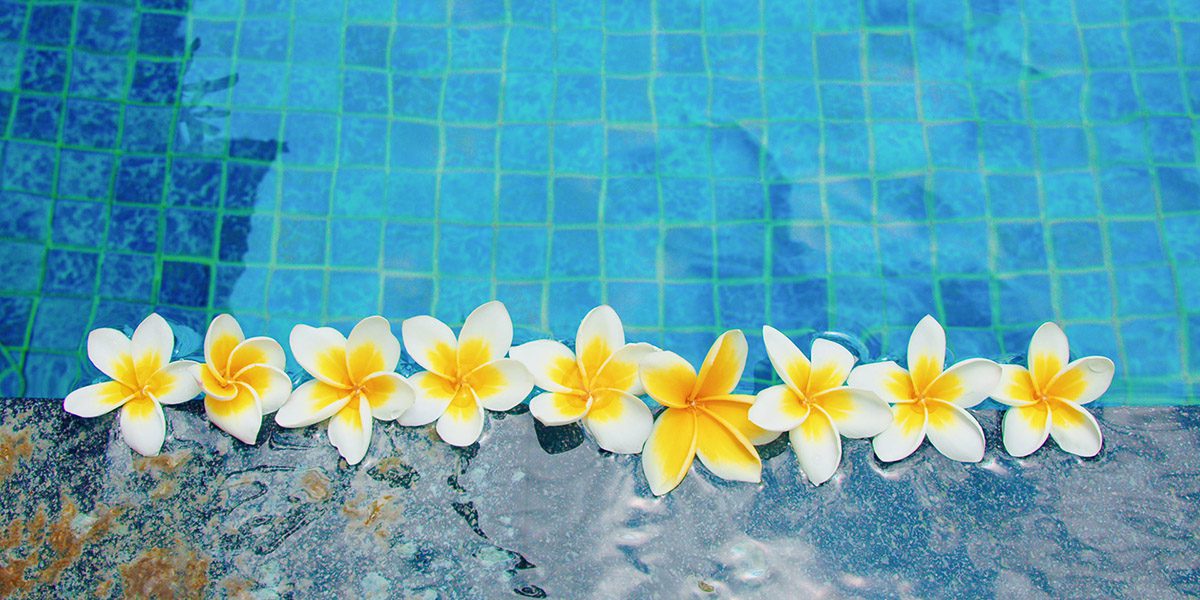 Google Business Profile - Review Management - Thrive - Palm Island Creative