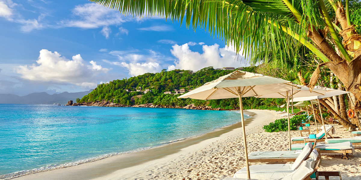 Logo Design - Brand-Ready Files - Create - Palm Island Creative