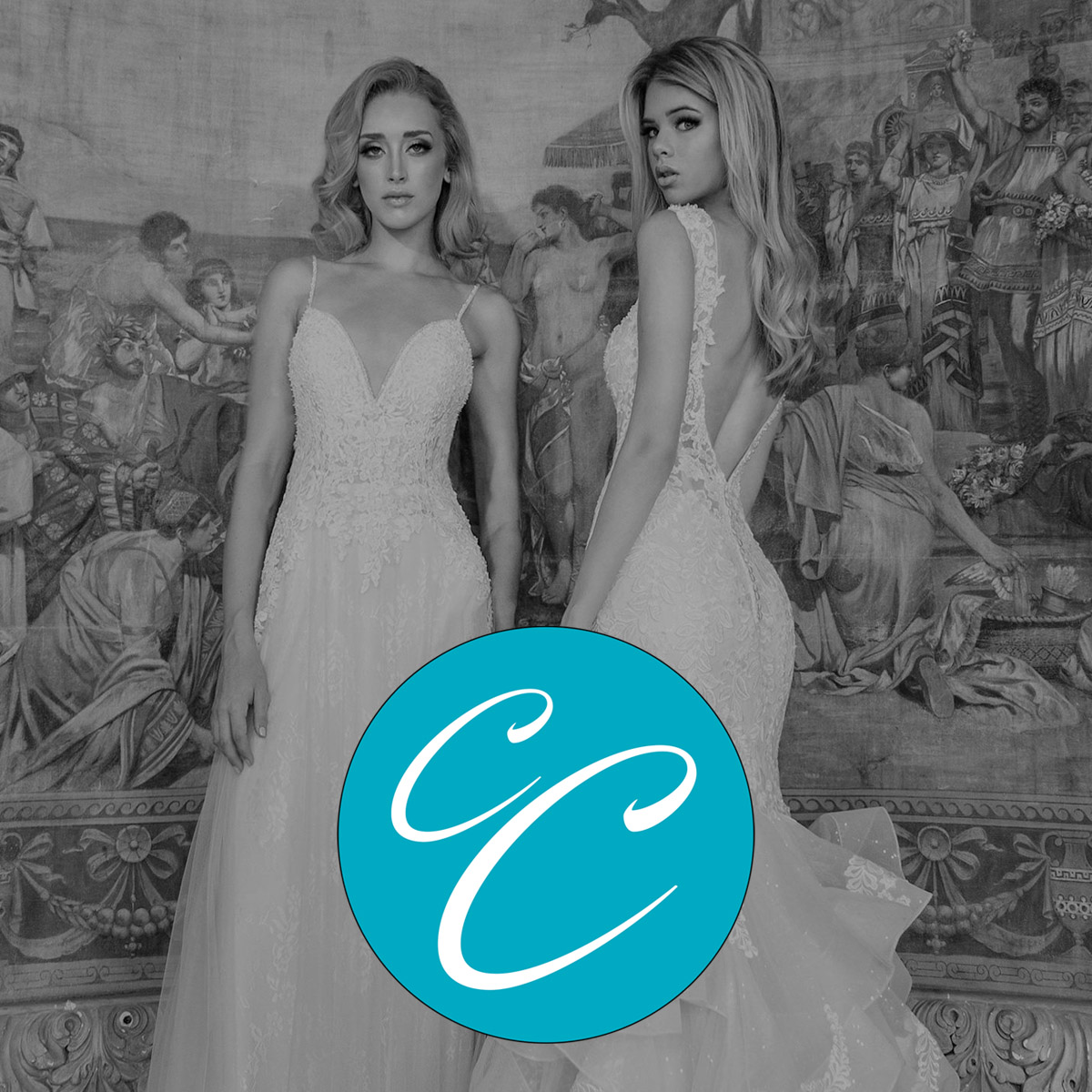 Logo Design - Brand Mark - Case Studies - Cassondra Luxury Hair - Palm Island Creative