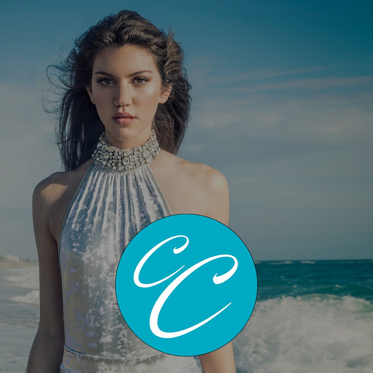 Logo Design - Brand Mark - Case Studies - Cassondra Luxury Hair - Palm Island Creative