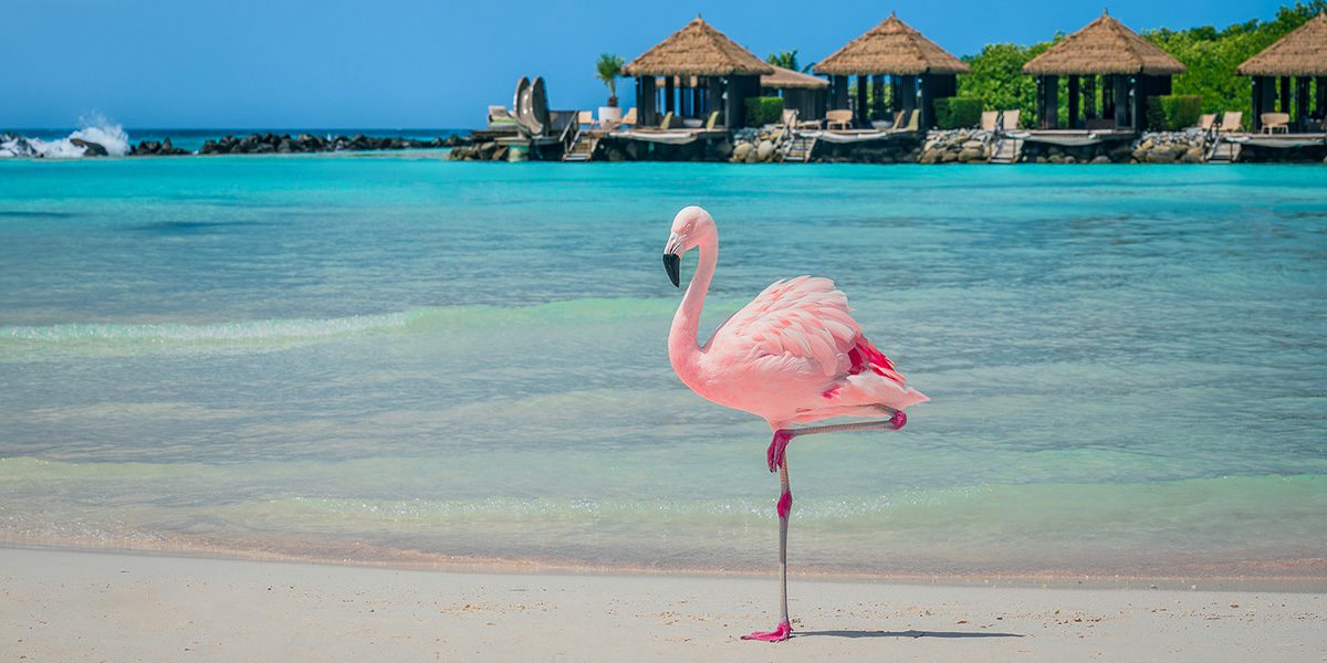 Logo Design - Exclusive Logo Creation - Create - Palm Island Creative