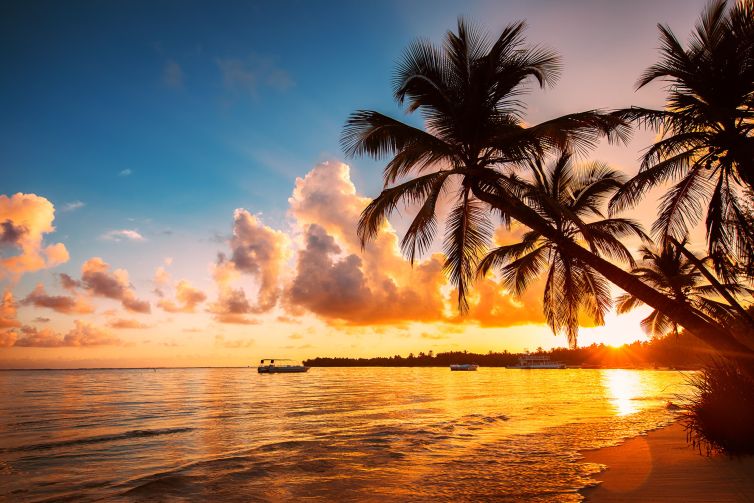 Print Design - Brand Essentials - Create - Palm Island Creative