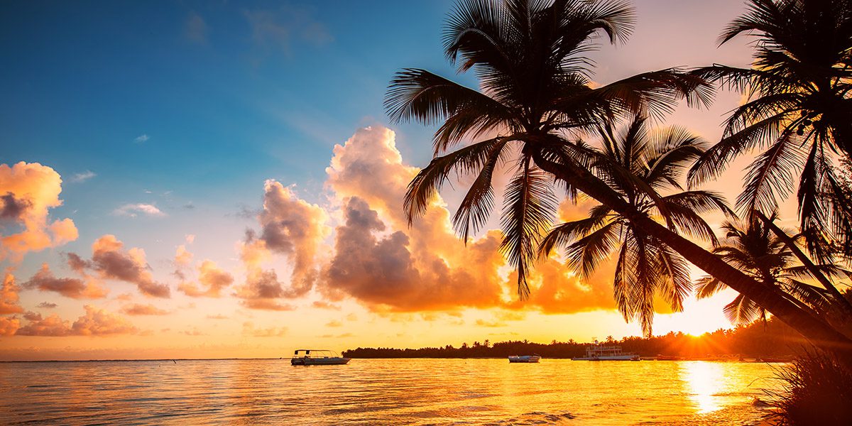 Print Design - Brand Essentials - Create - Palm Island Creative