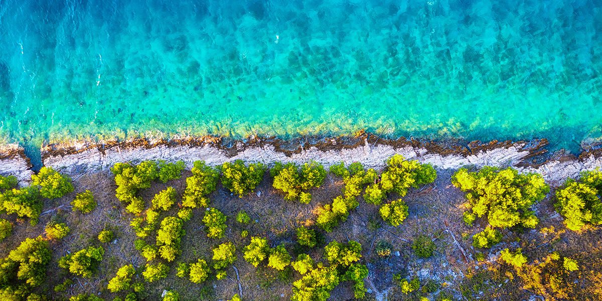 Print Design - Multi-Page Publications - Create - Palm Island Creative