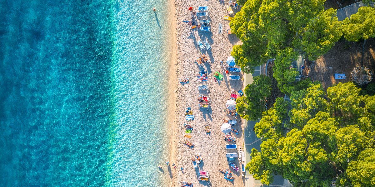 Review Management - Response Management - Thrive - Palm Island Creative