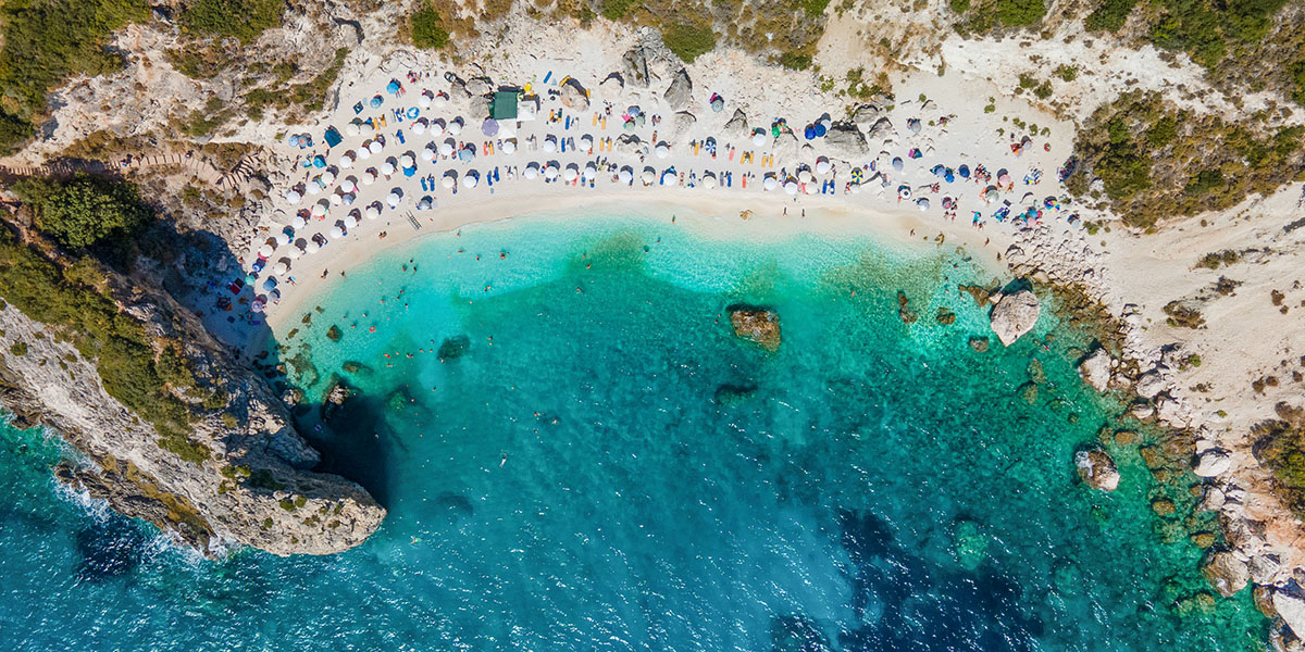 Review Management - Review Monitoring - Thrive - Palm Island Creative