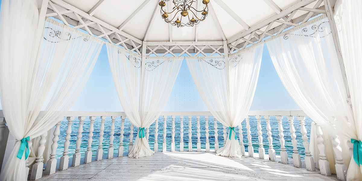 SEO & AI Search - Content SEO - Thrive - Palm Island Creative