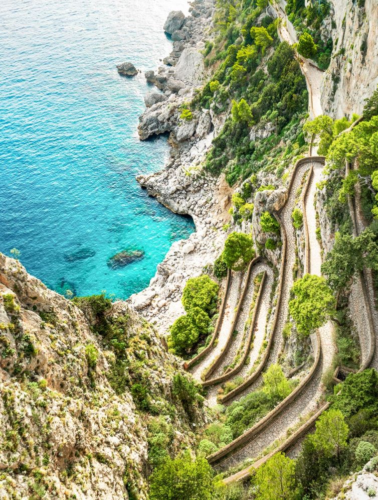 SEO & AI Search - Keyword Research - Thrive - Palm Island Creative