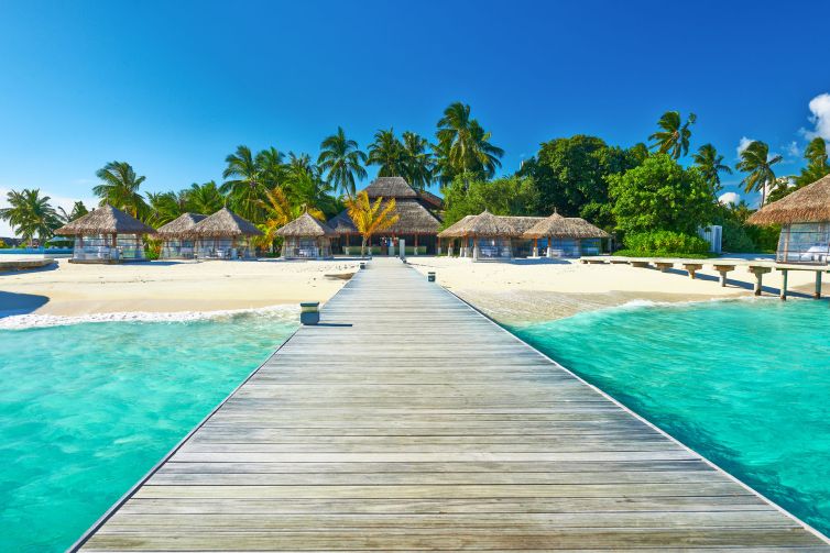 SEO & AI Search - Local-Page SEO - Thrive - Palm Island Creative