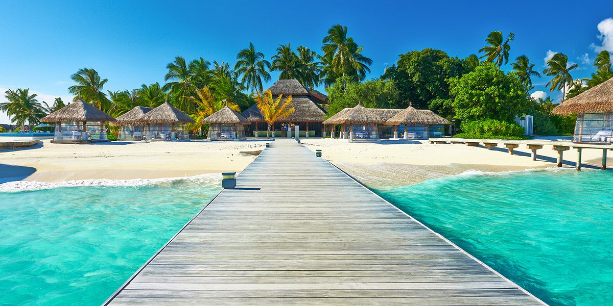 SEO & AI Search - Local-Page SEO - Thrive - Palm Island Creative