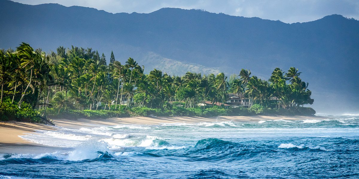 SEO & AI Search - Off-Page SEO - Thrive - Palm Island Creative