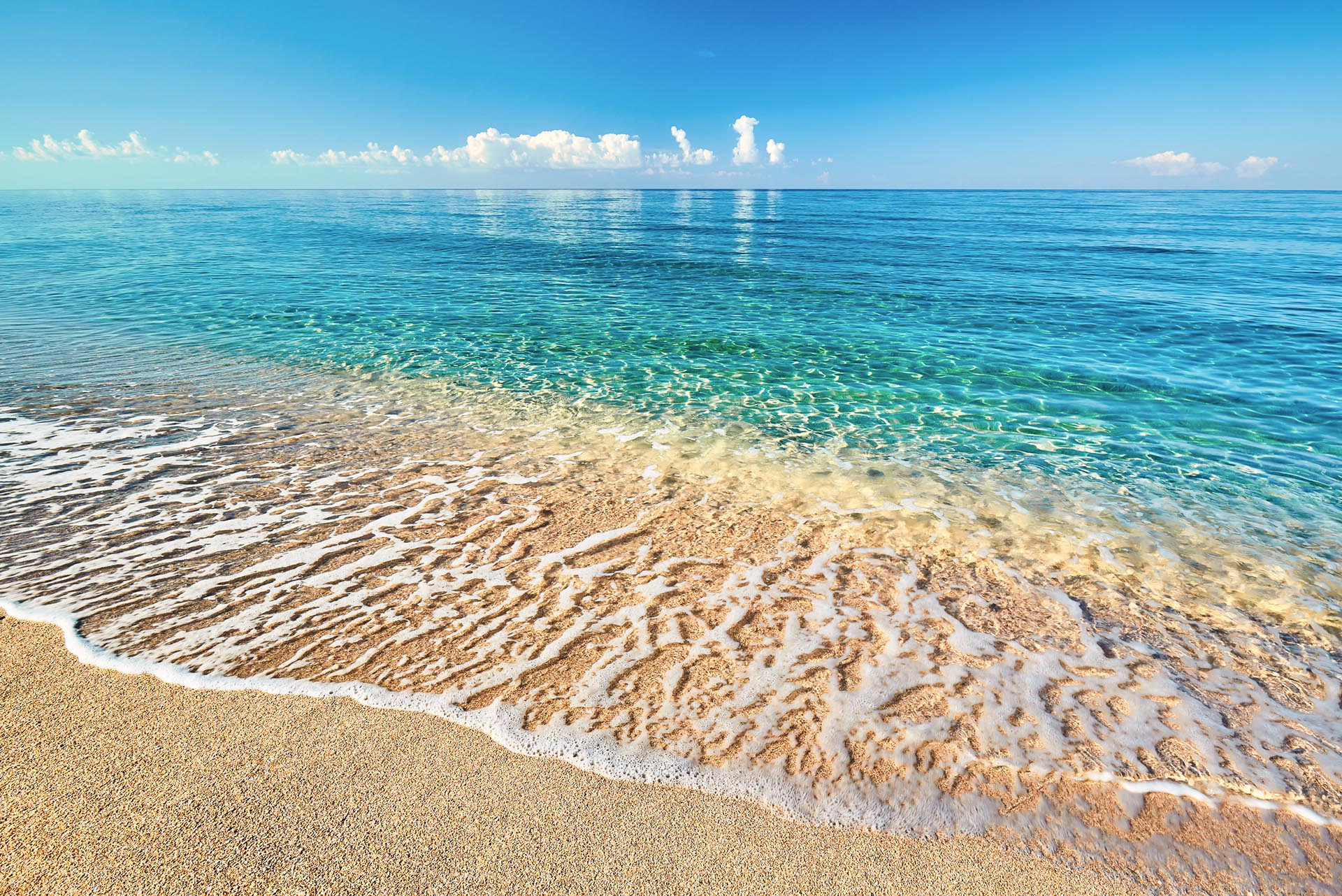 Largo, FL Creative and Digital Services - Palm Island Creative