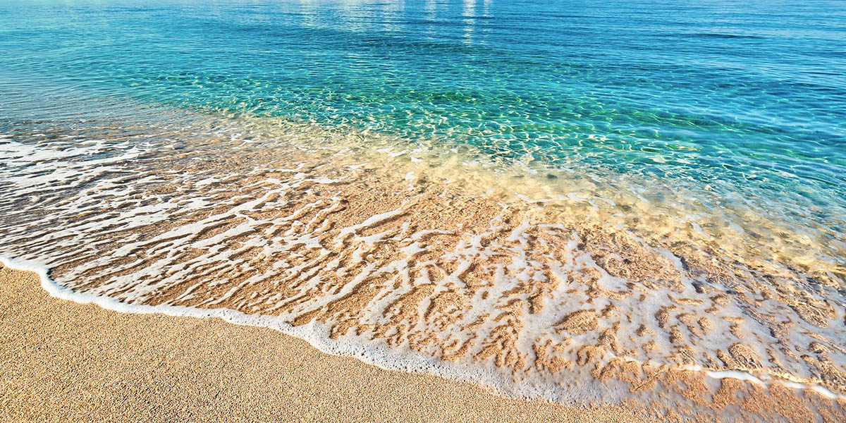 SEO & AI Search - On-Page SEO - Thrive - Palm Island Creative