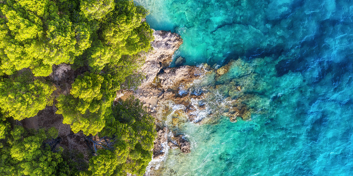 SEO & AI Search - Technical SEO - Thrive - Palm Island Creative