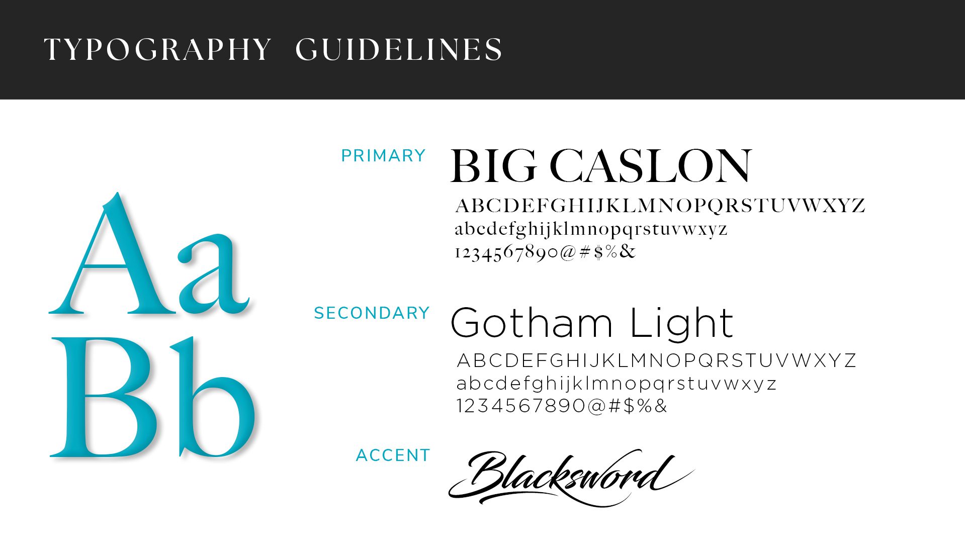 Typography Guidelines - Brand Identity - Case Studies - Cassondra Luxury Hair - Palm Island Creative