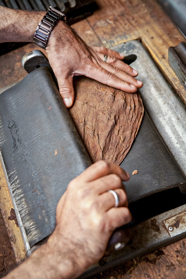 Cigar Photography - A Journey From Cultivated Seed To Distinguished Smoke - Sorting, Blending, & Rolling - Dominican Republic - Palm Island Creative