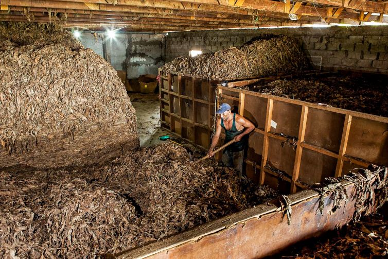 Cigar Photography - A Journey From Cultivated Seed To Distinguished Smoke - From Leaf to Transformation - Dominican Republic - Palm Island Creative