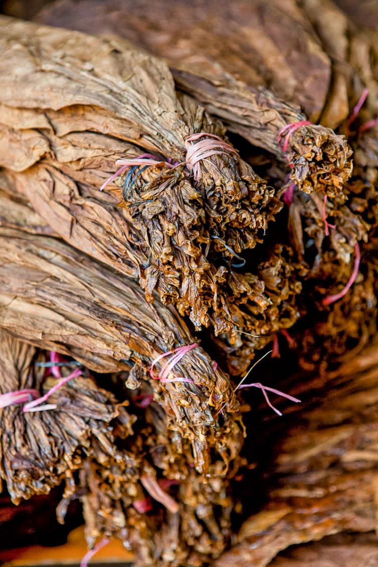 Cigar Photography - A Journey From Cultivated Seed To Distinguished Smoke - Fermentation & Aging - Dominican Republic - Palm Island Creative