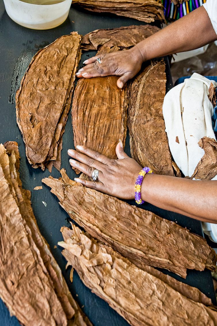 Cigar Photography - A Journey From Cultivated Seed To Distinguished Smoke - Sorting, Blending, & Rolling - Dominican Republic - Palm Island Creative