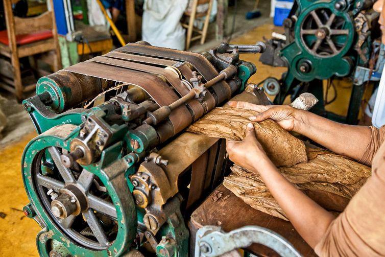 Cigar Photography - A Journey From Cultivated Seed To Distinguished Smoke - Sorting, Blending, & Rolling - Dominican Republic - Palm Island Creative