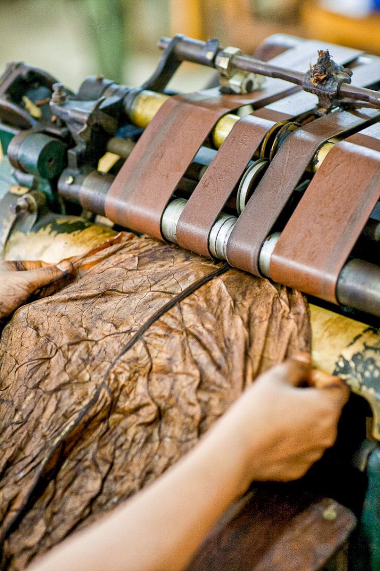 Cigar Photography - A Journey From Cultivated Seed To Distinguished Smoke - Sorting, Blending, & Rolling - Dominican Republic - Palm Island Creative