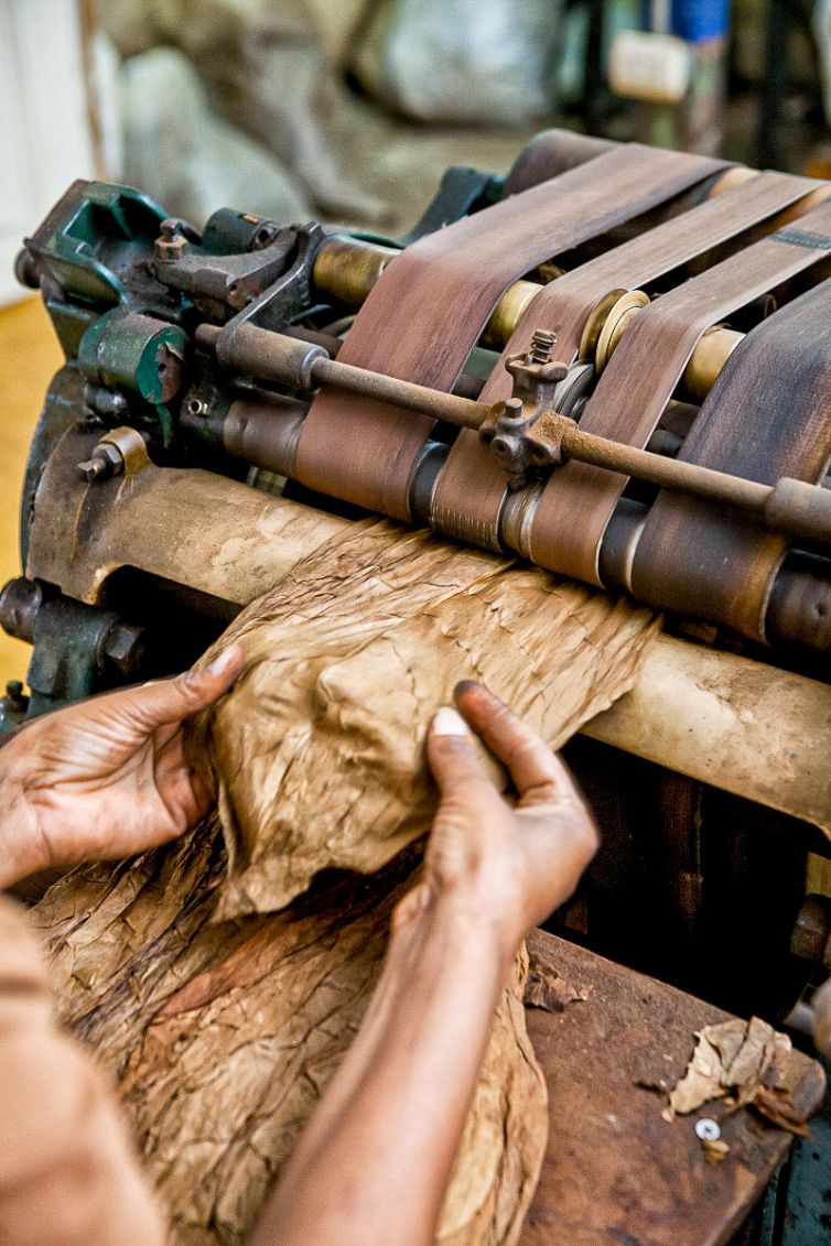Cigar Photography - A Journey From Cultivated Seed To Distinguished Smoke - Sorting, Blending, & Rolling - Dominican Republic - Palm Island Creative