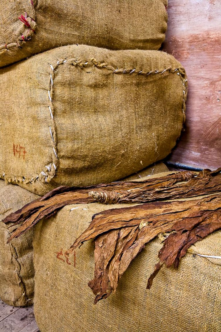 Cigar Photography - A Journey From Cultivated Seed To Distinguished Smoke - Fermentation & Aging - Dominican Republic - Palm Island Creative