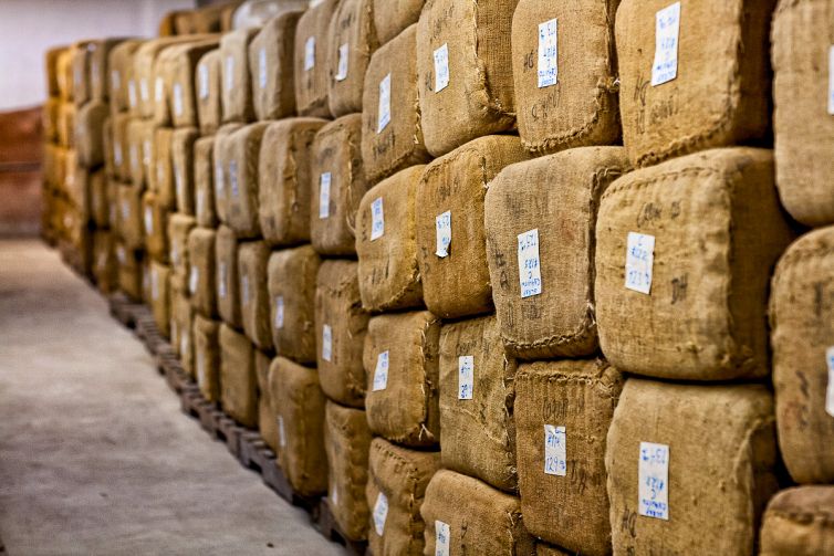 Cigar Photography - A Journey From Cultivated Seed To Distinguished Smoke - Fermentation & Aging - Dominican Republic - Palm Island Creative