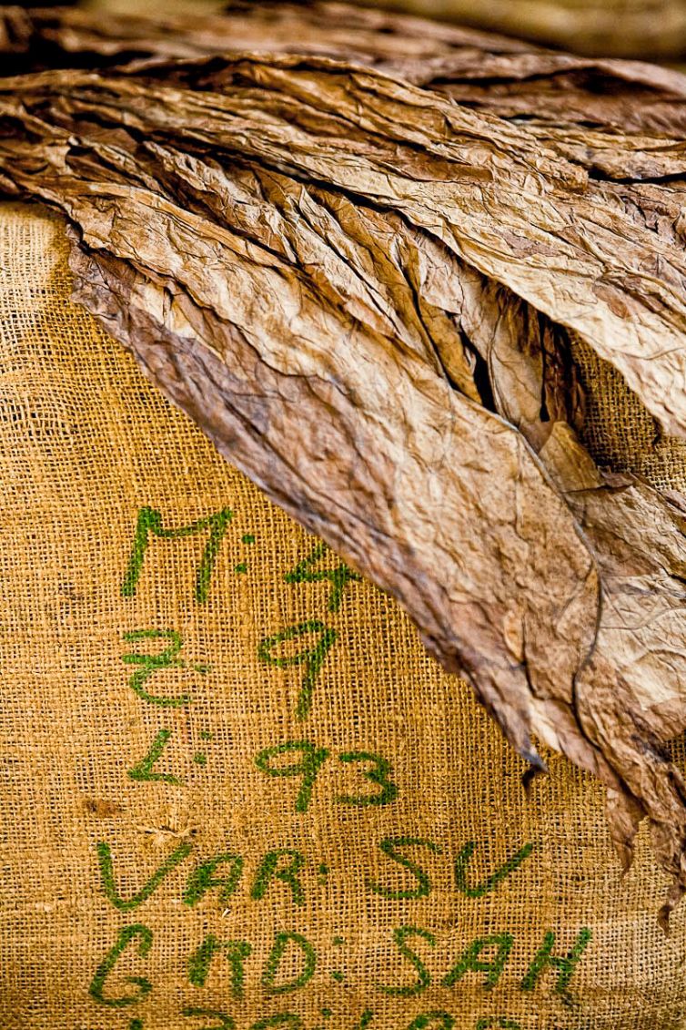 Cigar Photography - A Journey From Cultivated Seed To Distinguished Smoke - Fermentation & Aging - Dominican Republic - Palm Island Creative