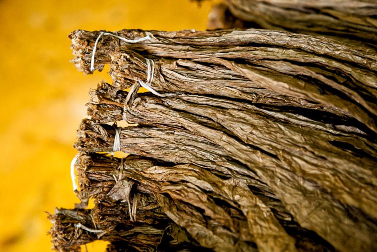 Cigar Photography - A Journey From Cultivated Seed To Distinguished Smoke - Fermentation & Aging - Dominican Republic - Palm Island Creative