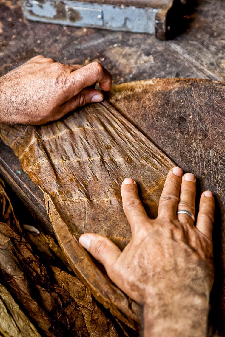 Cigar Photography - A Journey From Cultivated Seed To Distinguished Smoke - Sorting, Blending, & Rolling - Dominican Republic - Palm Island Creative