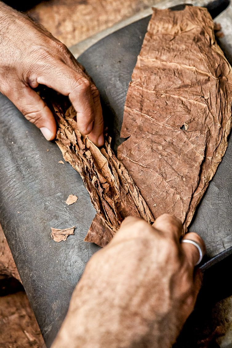 Cigar Photography - A Journey From Cultivated Seed To Distinguished Smoke - Sorting, Blending, & Rolling - Dominican Republic - Palm Island Creative
