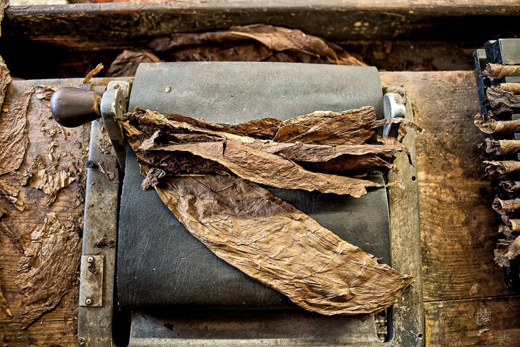 Cigar Photography - A Journey From Cultivated Seed To Distinguished Smoke - Sorting, Blending, & Rolling - Dominican Republic - Palm Island Creative