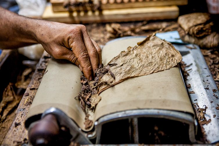 Cigar Photography - A Journey From Cultivated Seed To Distinguished Smoke - Sorting, Blending, & Rolling - Dominican Republic - Palm Island Creative