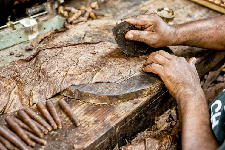 Cigar Photography - A Journey From Cultivated Seed To Distinguished Smoke - Sorting, Blending, & Rolling - Dominican Republic - Palm Island Creative