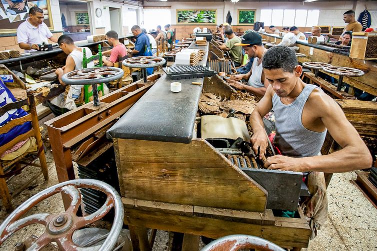 Cigar Photography - A Journey From Cultivated Seed To Distinguished Smoke - Sorting, Blending, & Rolling - Dominican Republic - Palm Island Creative