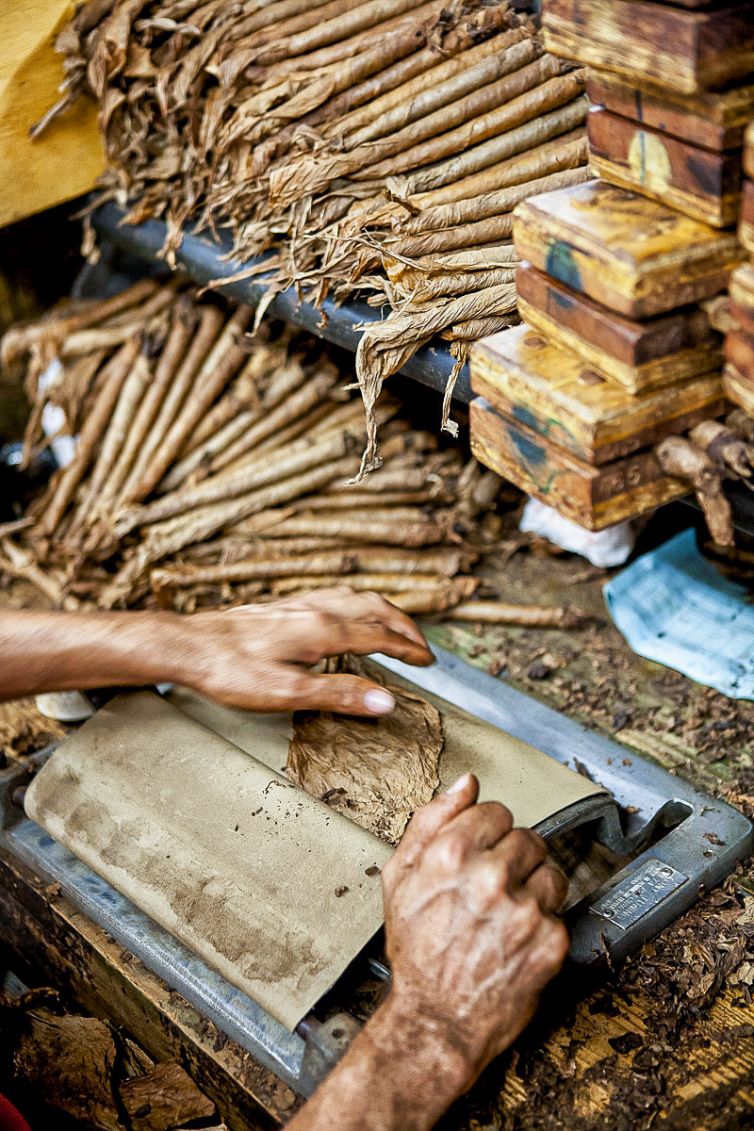 Cigar Photography - A Journey From Cultivated Seed To Distinguished Smoke - Sorting, Blending, & Rolling - Dominican Republic - Palm Island Creative