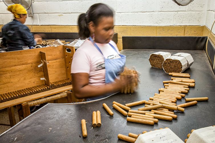Cigar Photography - A Journey From Cultivated Seed To Distinguished Smoke - Finishing & Labeling - Dominican Republic - Palm Island Creative
