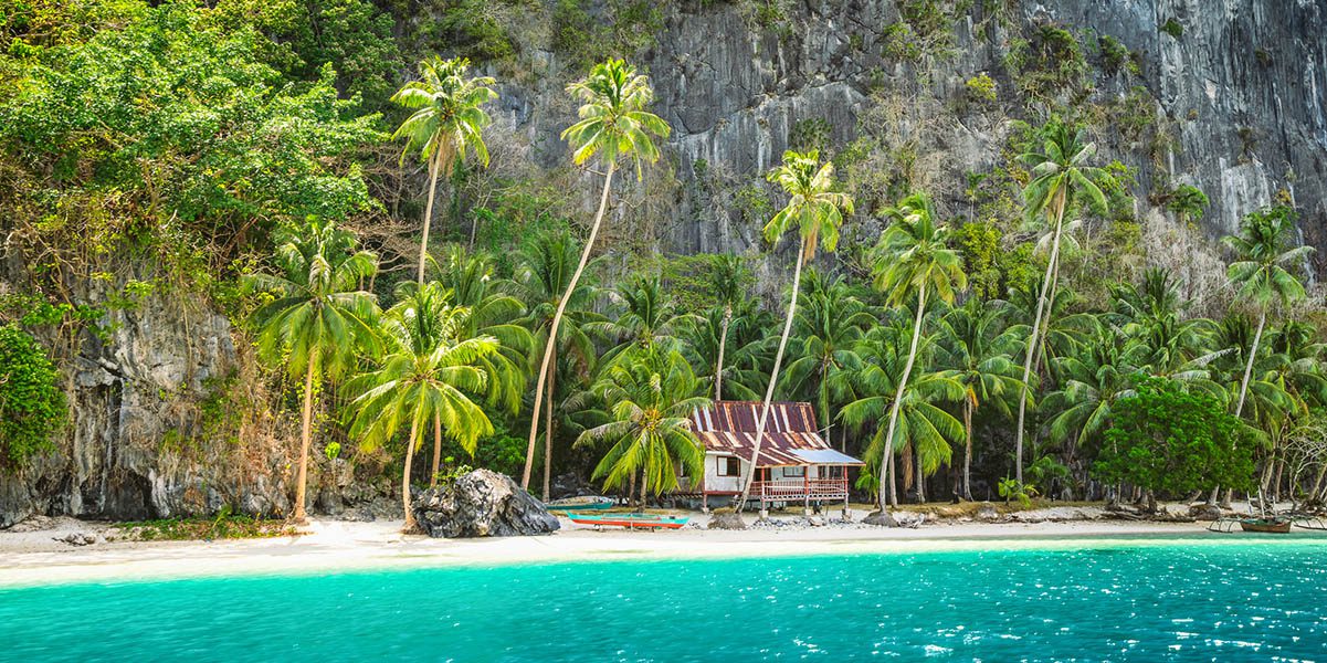 Visual Content - Stock Photography Curation - Create - Palm Island Creative