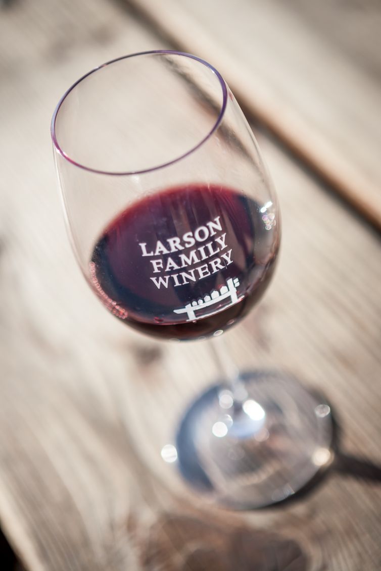 Travel Photography - Wine Country - A Shared Adventure In The Vineyards- Palm Island Creative