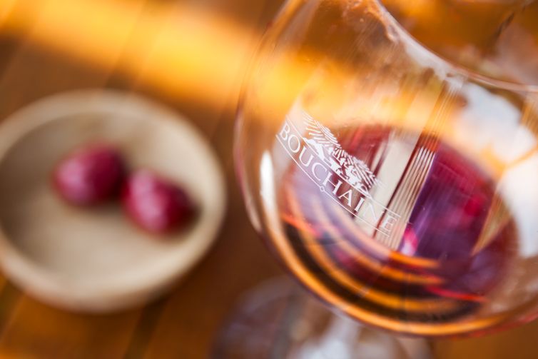 Travel Photography - Wine Country - A Shared Adventure In The Vineyards- Palm Island Creative