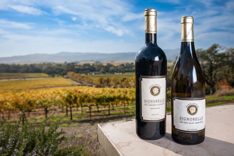 Travel Photography - Wine Country - A Shared Adventure In The Vineyards- Palm Island Creative