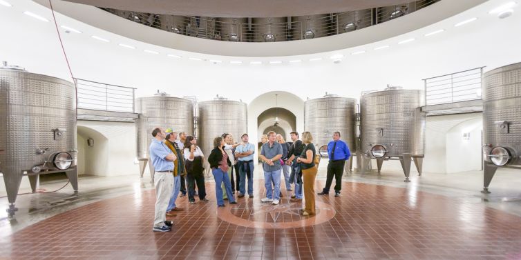 Travel Photography - Wine Country - A Shared Adventure In The Vineyards- Palm Island Creative