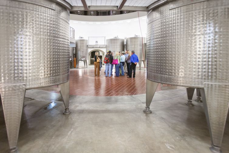 Travel Photography - Wine Country - A Shared Adventure In The Vineyards- Palm Island Creative