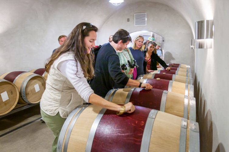 Travel Photography - Wine Country - A Shared Adventure In The Vineyards- Palm Island Creative