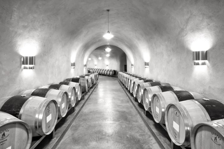 Travel Photography - Wine Country - A Shared Adventure In The Vineyards- Palm Island Creative