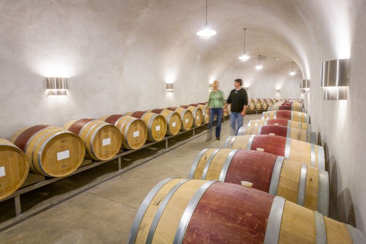 Travel Photography - Wine Country - A Shared Adventure In The Vineyards- Palm Island Creative