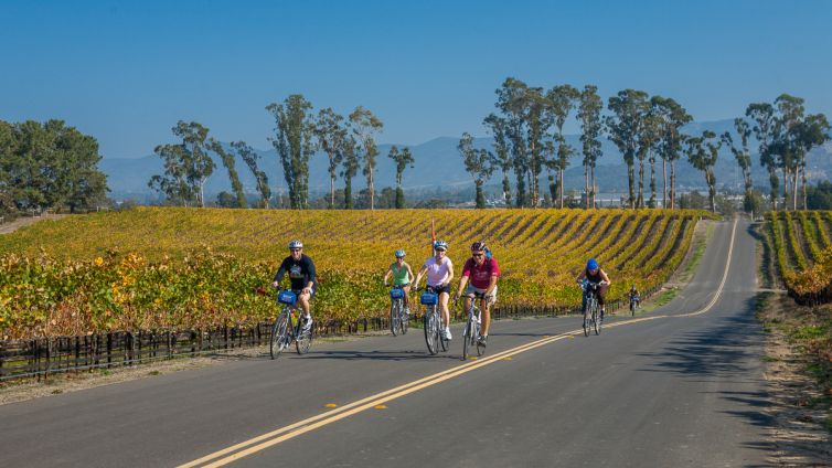 Travel Photography - Wine Country - A Shared Adventure In The Vineyards- Palm Island Creative