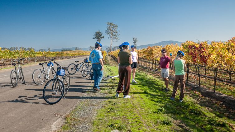 Travel Photography - Wine Country - A Shared Adventure In The Vineyards- Palm Island Creative